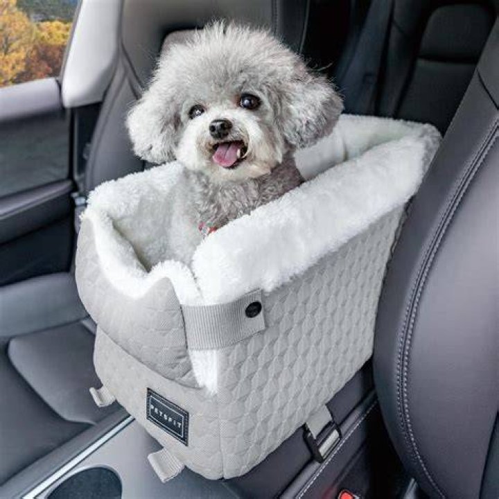 Are dog car seats safe?