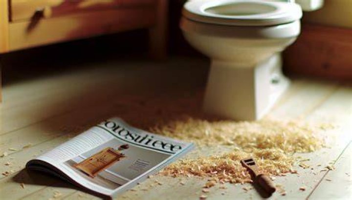 Can you flush sawdust?
