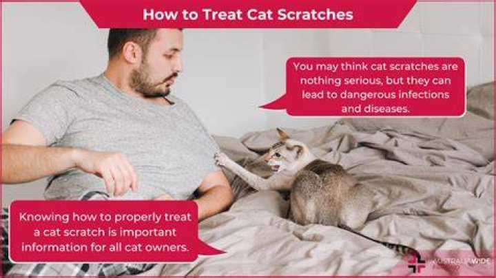 What do you do when your cat scratches you?