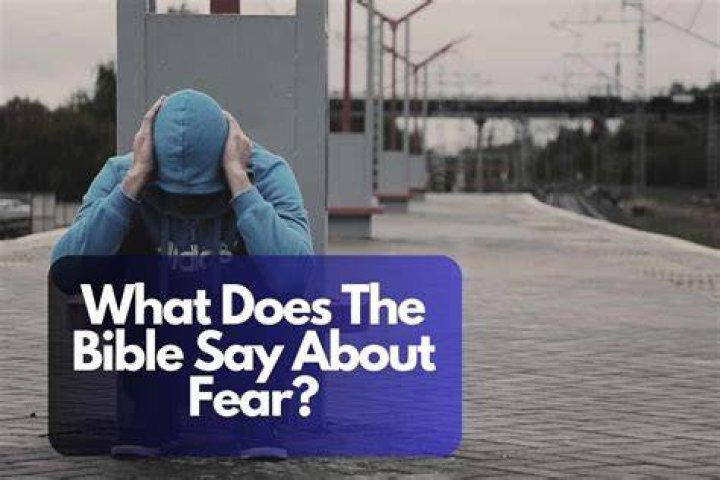 What does the Bible say about creatures?