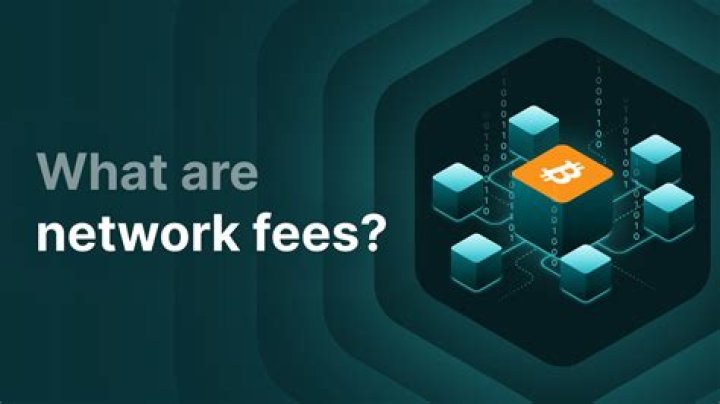 What is a network access fee?