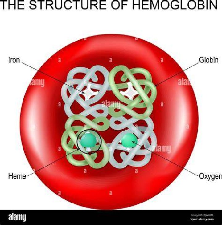 What is plasma Haemoglobin?
