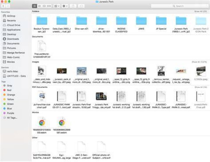 Where did all my folders go on my Mac?