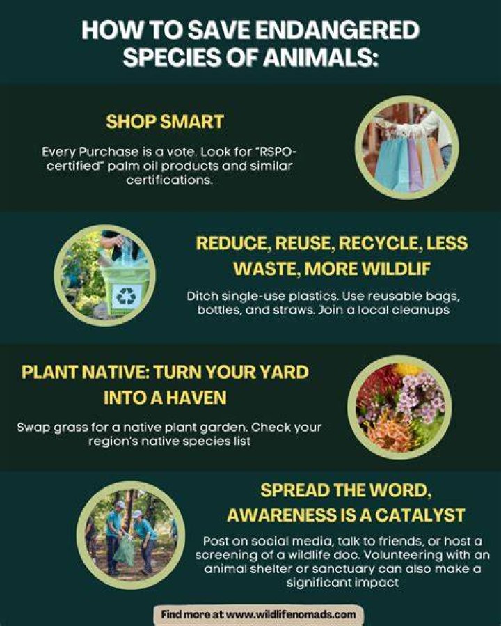 Why is it important to help endangered animals?