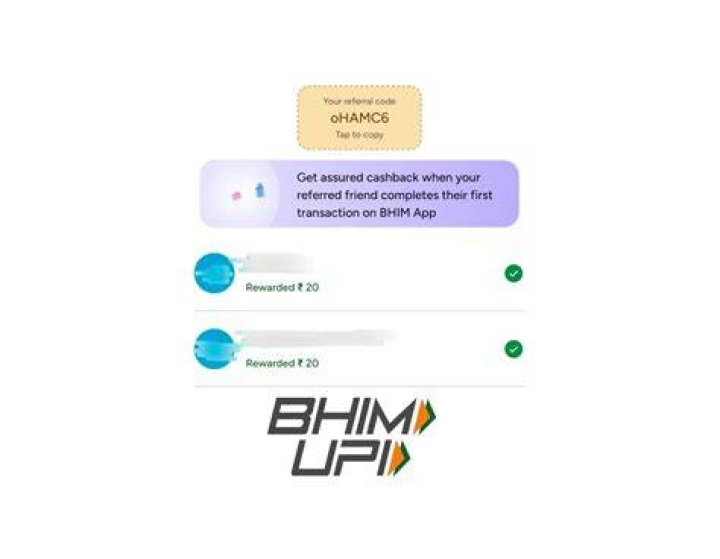Why is my Bhim app not working?